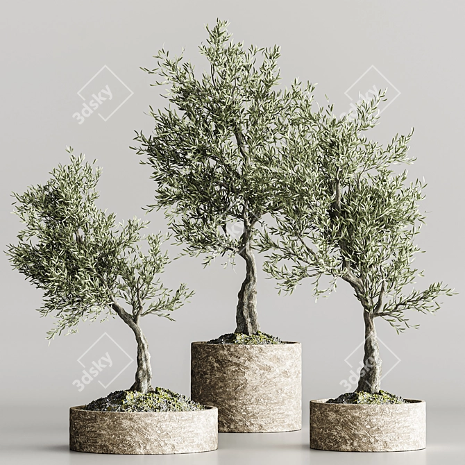  Bonsai Collection 2015 Set 3D model image 1