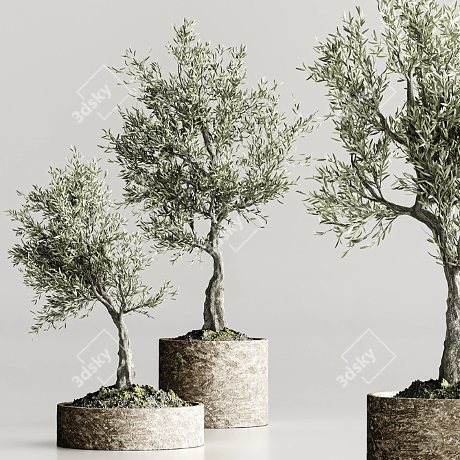  Bonsai Collection 2015 Set 3D model image 2