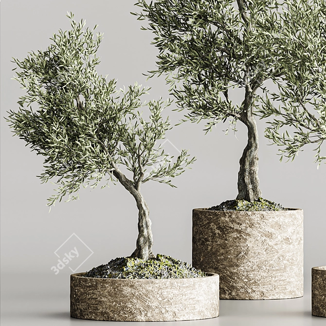  Bonsai Collection 2015 Set 3D model image 3