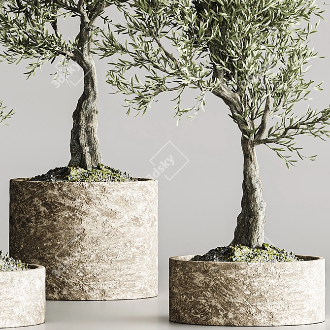  Bonsai Collection 2015 Set 3D model image 4