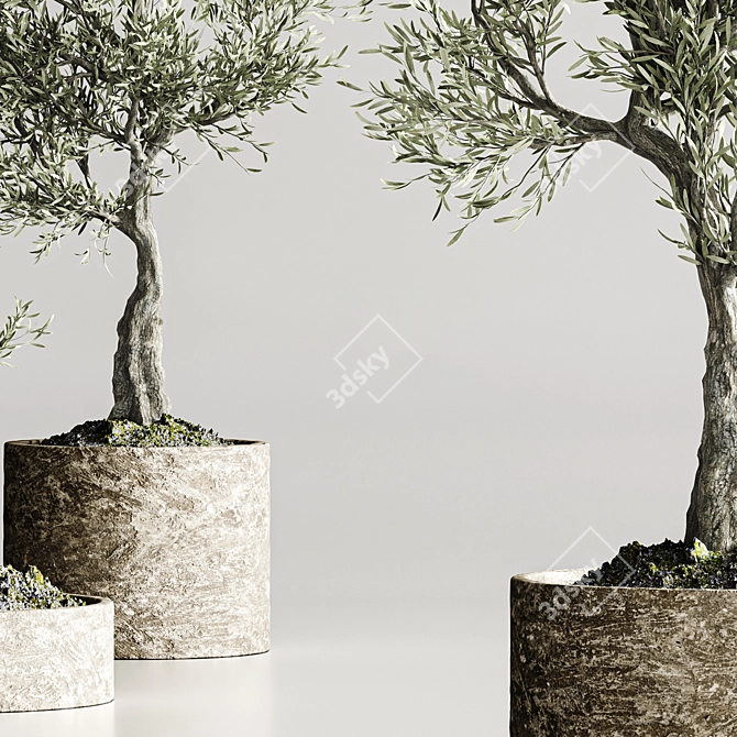  Bonsai Collection 2015 Set 3D model image 5