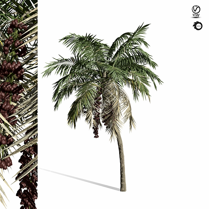 Forest Palm Tree Sculpture - 1150cm 3D model image 2