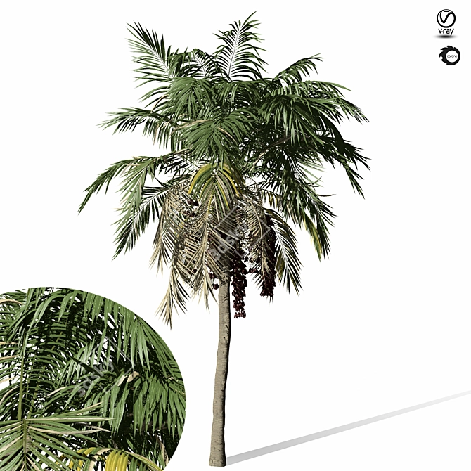 Forest Palm Tree Sculpture - 1150cm 3D model image 3