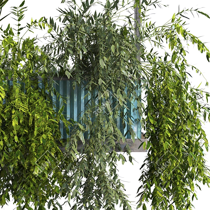 Modern Greenery Box Set 2015 3D model image 2