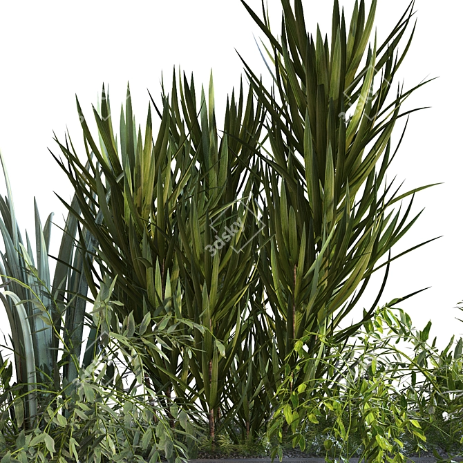 Modern Greenery Box Set 2015 3D model image 4