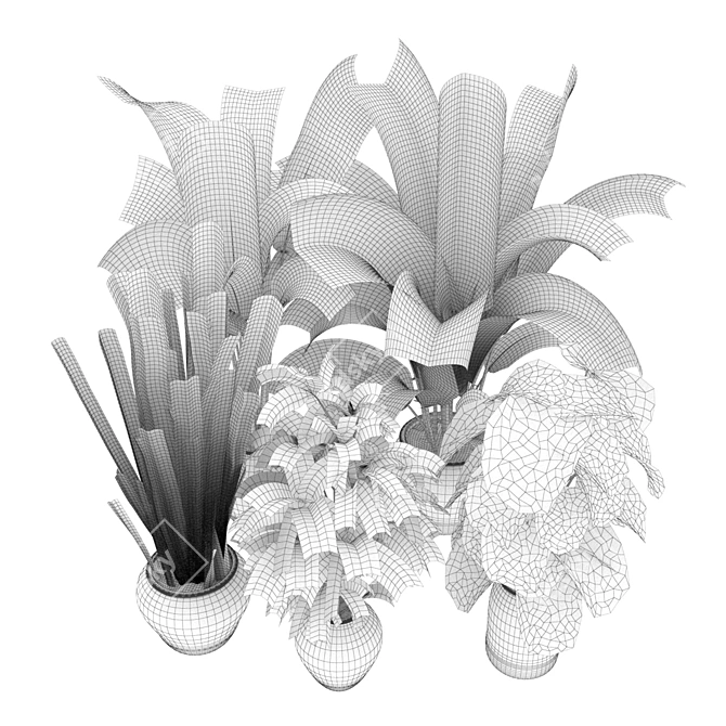 Premium Indoor Plant Collection - Banana Leaf Rubber 3D model image 7