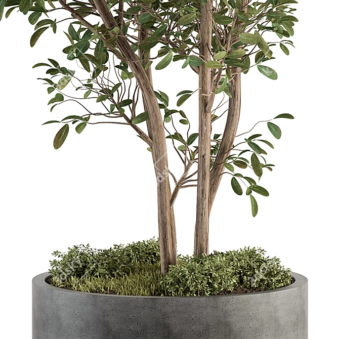 Concrete Pot Plant Set Outdoor 3D model image 3