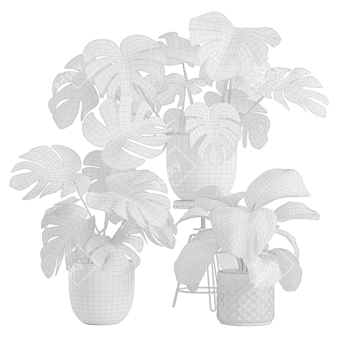 Exotic Interior Plants Bundle 3D model image 3