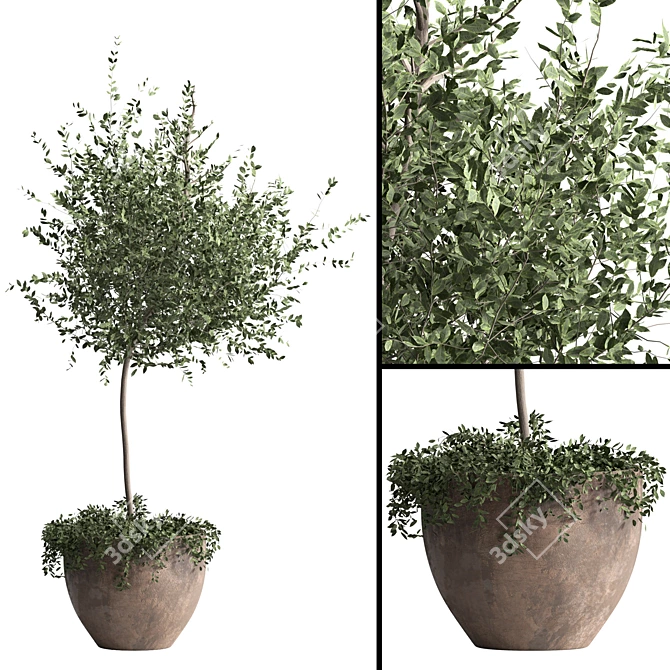 3D Indoor Plant Model Kit 3D model image 1