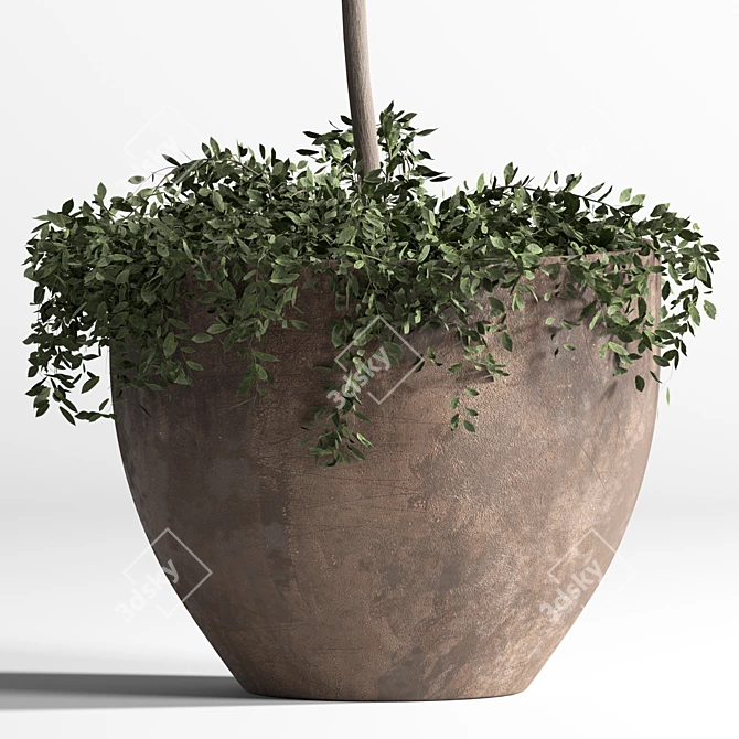 3D Indoor Plant Model Kit 3D model image 3