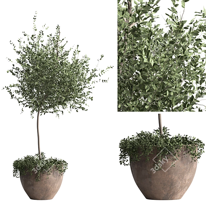 3D Indoor Plant Model Kit 3D model image 8