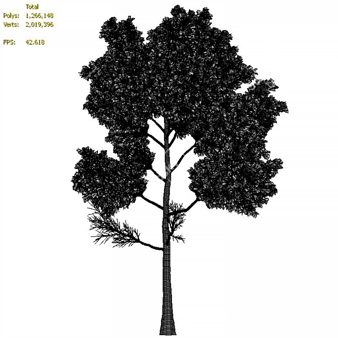 Majestic Pine Tree 3D Model 3D model image 4