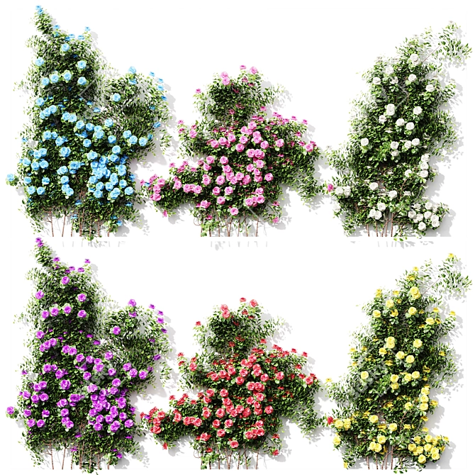 Climbing Roses Wall01 6 Colors 3D model image 2