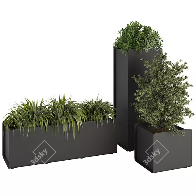 Contemporary Indoor Plant Set 2015 3D model image 1