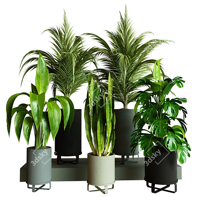 Modern Indoor Plant Collection Set 3D model image 1