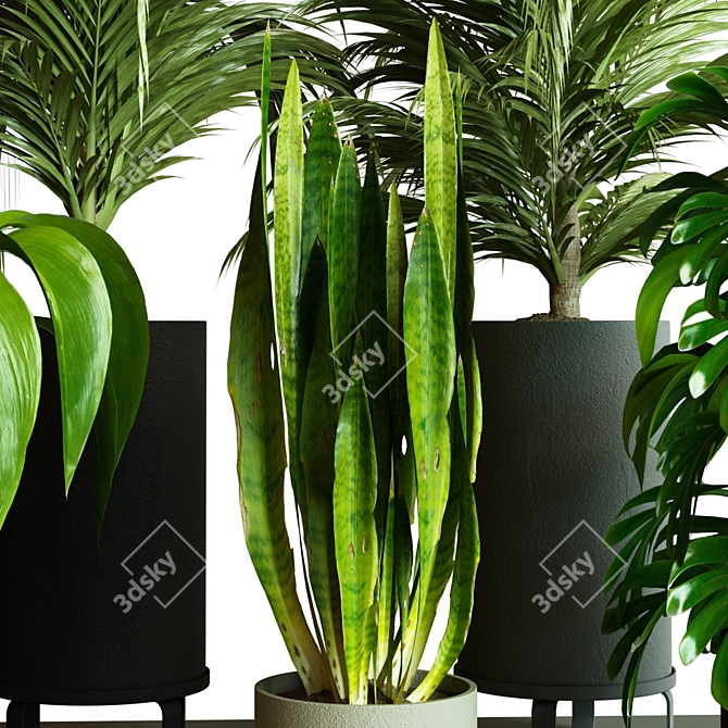 Modern Indoor Plant Collection Set 3D model image 3