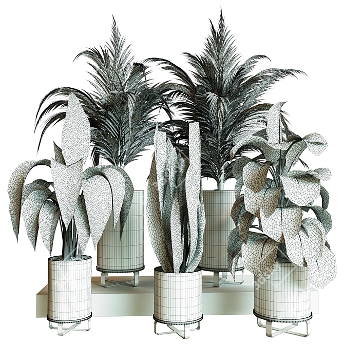 Modern Indoor Plant Collection Set 3D model image 4