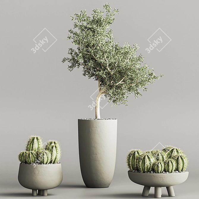 Cactus & Plant Collection 3D Model 3D model image 2