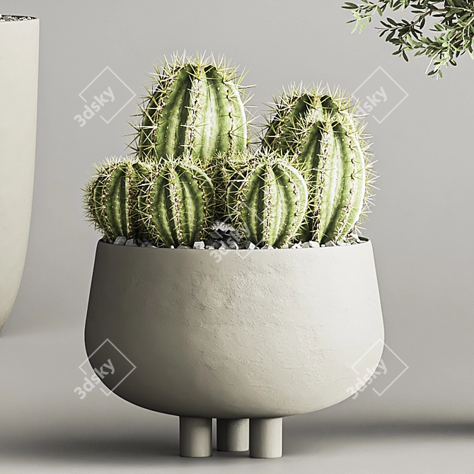 Cactus & Plant Collection 3D Model 3D model image 4