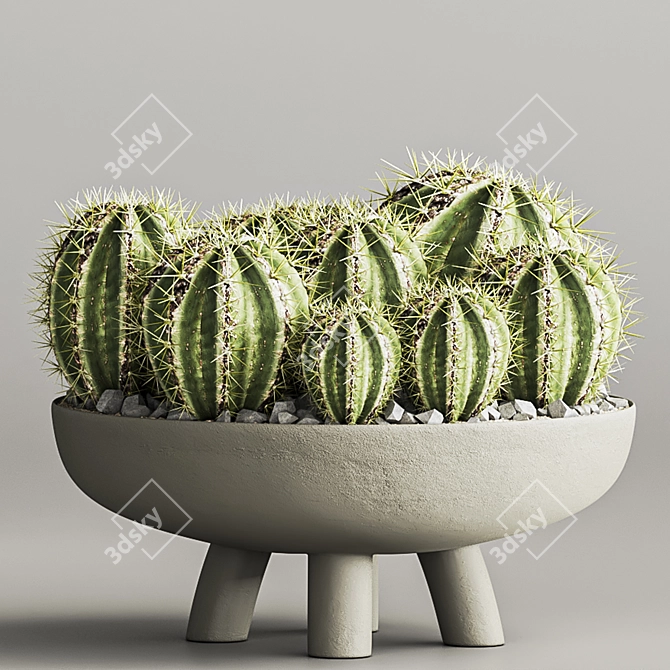 Cactus & Plant Collection 3D Model 3D model image 5