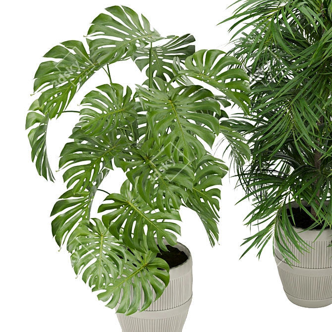 Premium 3D Plant Collection Vol. 348 3D model image 2