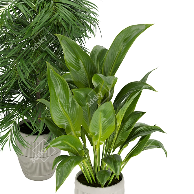 Premium 3D Plant Collection Vol. 348 3D model image 3