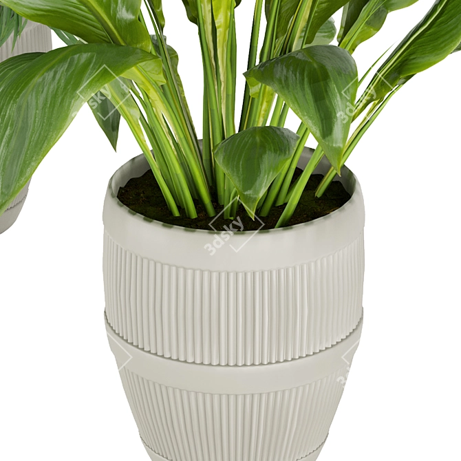 Premium 3D Plant Collection Vol. 348 3D model image 4