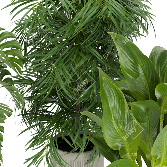 Premium 3D Plant Collection Vol. 348 3D model image 5