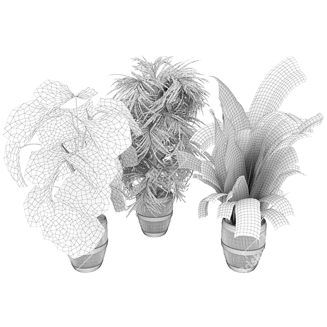 Premium 3D Plant Collection Vol. 348 3D model image 6