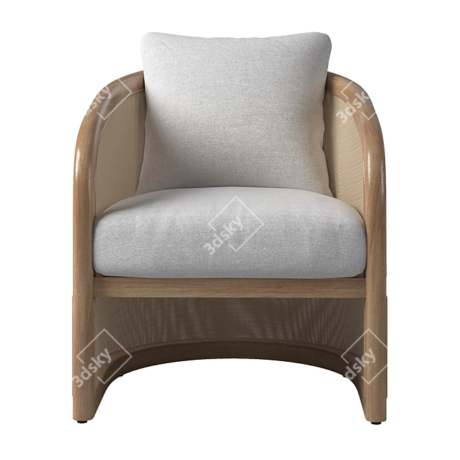 Modern RH Lucia Lounge Chair 3D model image 1