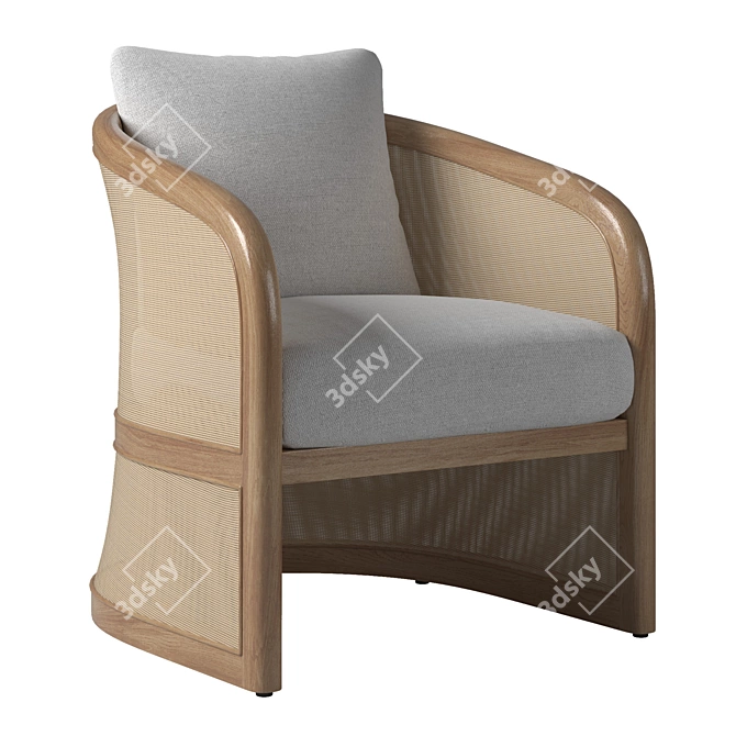 Modern RH Lucia Lounge Chair 3D model image 6