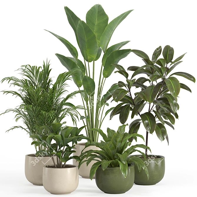 Shelf Plant Set | Modern Decor 3D model image 1