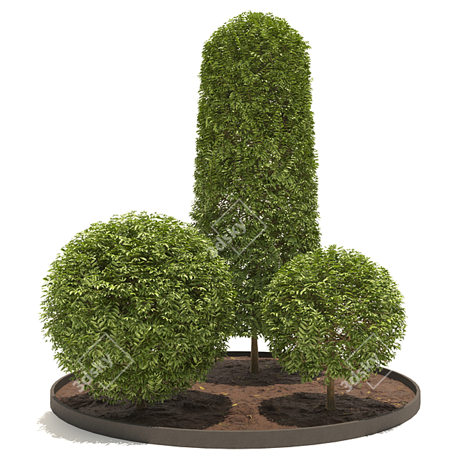 3D Plants Collection Set 3D model image 1