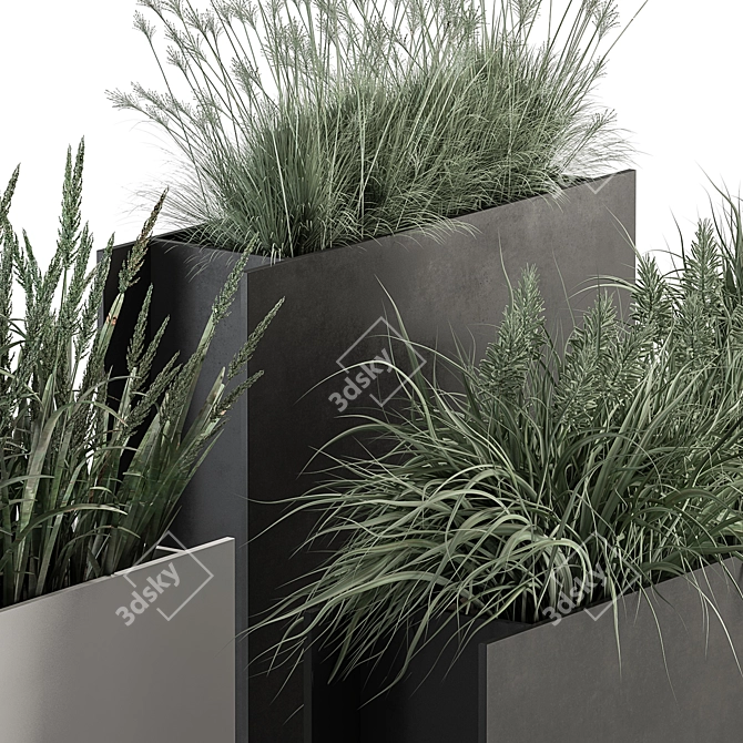 Plants in Outdoor Box Display 3D model image 3