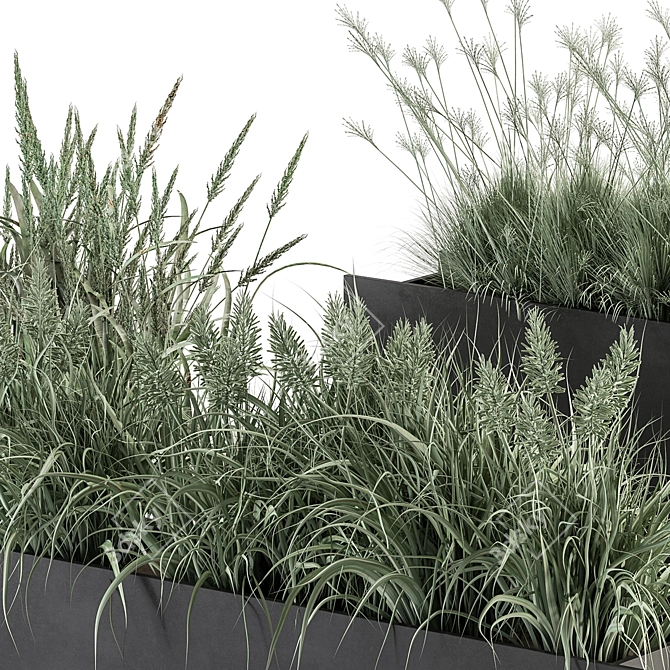 Plants in Outdoor Box Display 3D model image 5