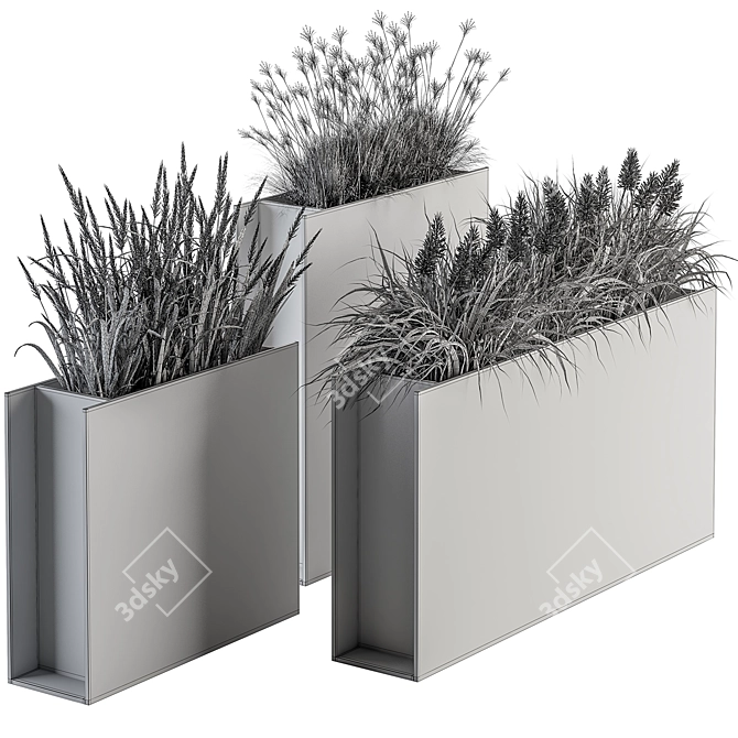 Plants in Outdoor Box Display 3D model image 6