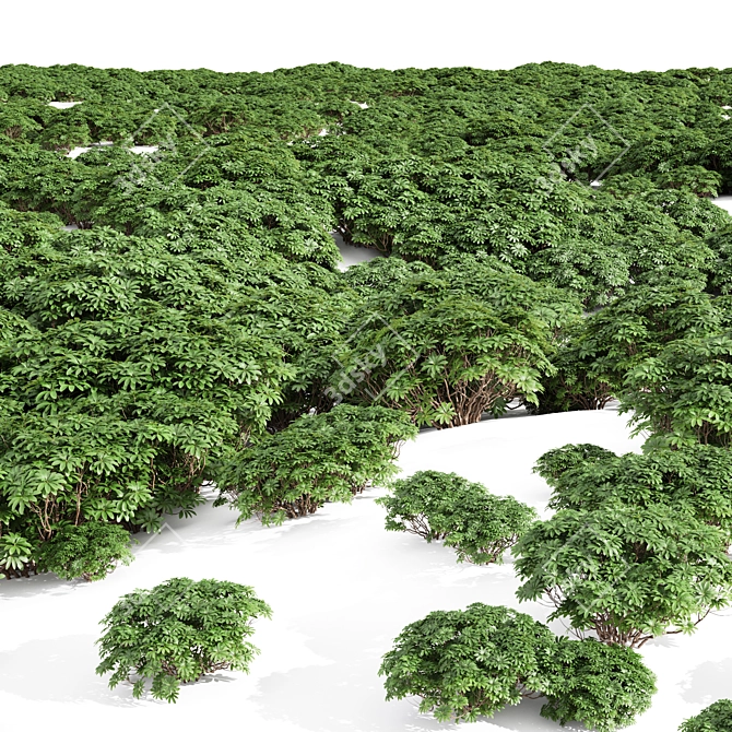  High Detail Plant 3D Models 3D model image 2