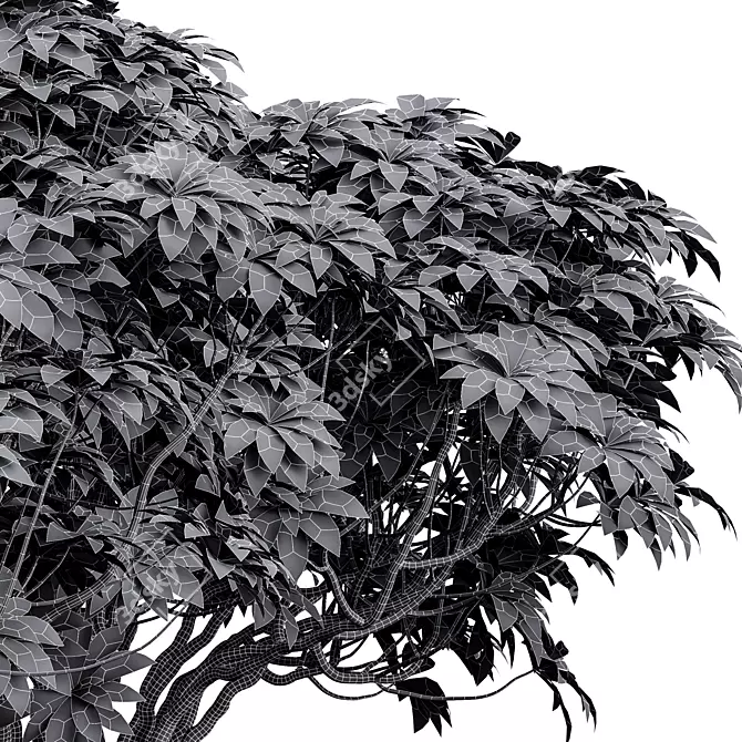  High Detail Plant 3D Models 3D model image 5