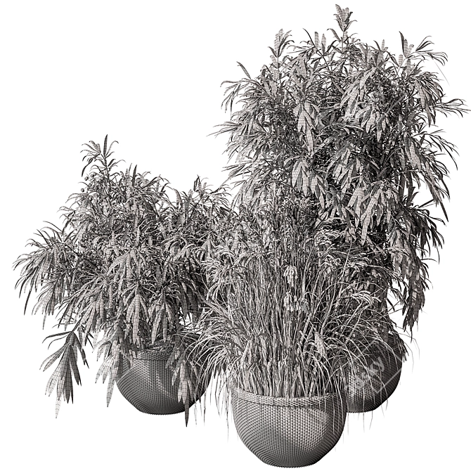 Indoor Tree Plant Set w/ Pot 3D model image 5