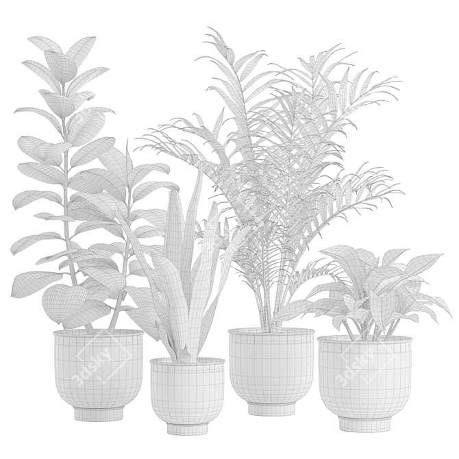 Indoor Exotic Plants Bundle Pack 3D model image 3