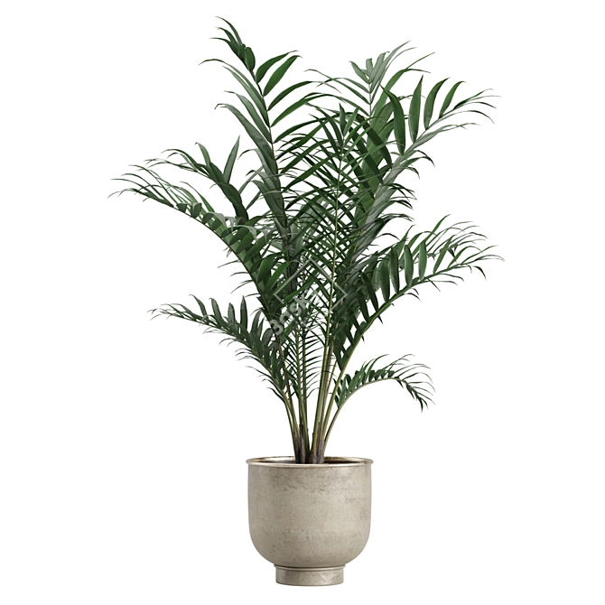 Indoor Exotic Plants Bundle Pack 3D model image 4