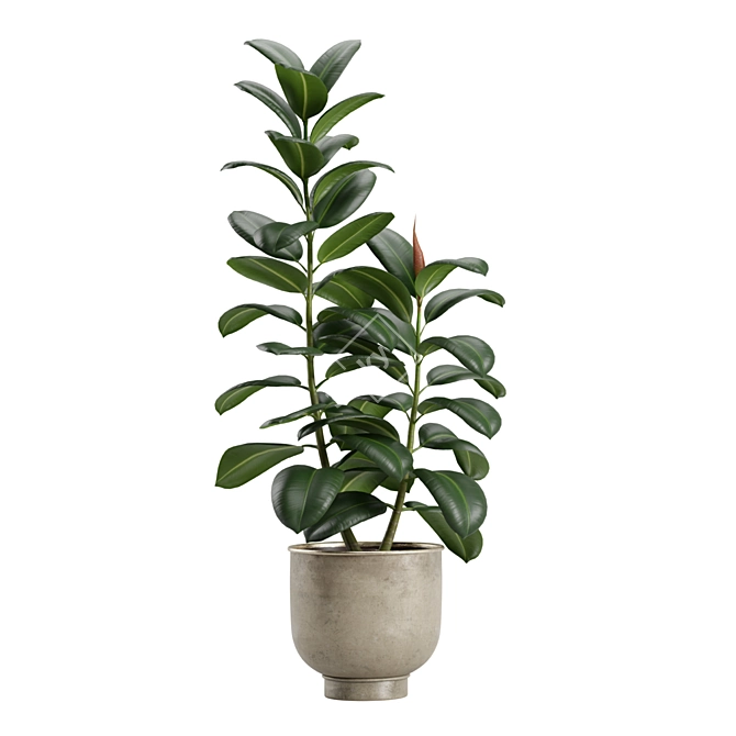 Indoor Exotic Plants Bundle Pack 3D model image 5