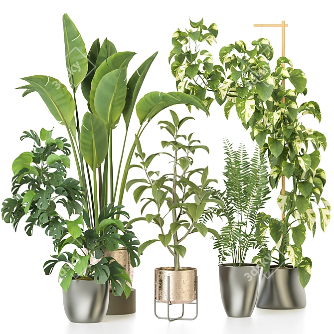 Modern Indoor Plant Collection 3D model image 1