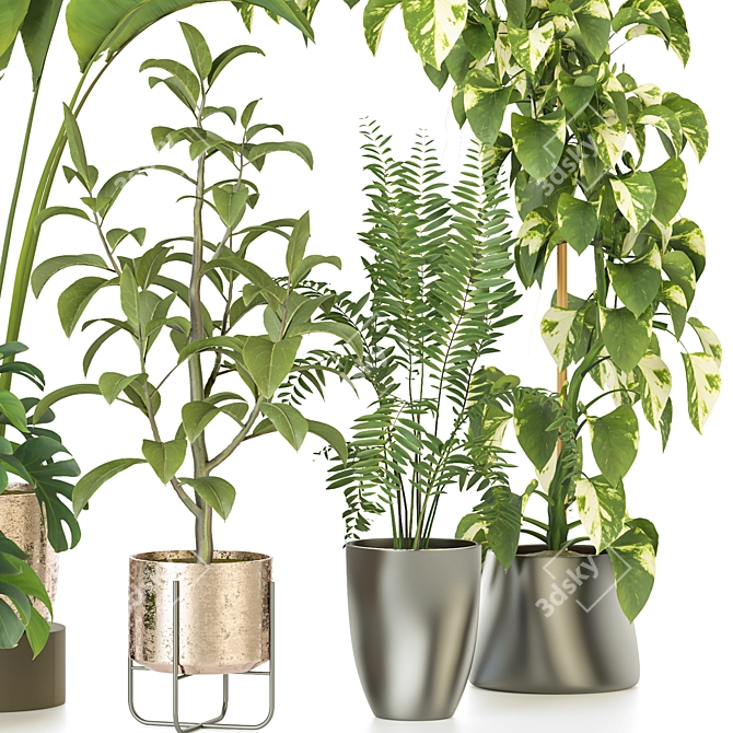 Modern Indoor Plant Collection 3D model image 3