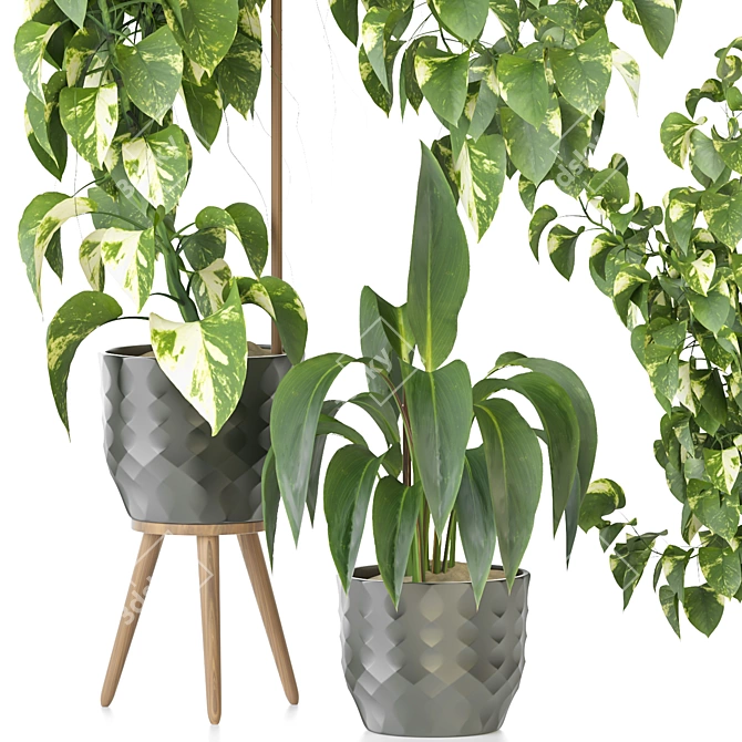 Modern Indoor Plant Collection 94 3D model image 2