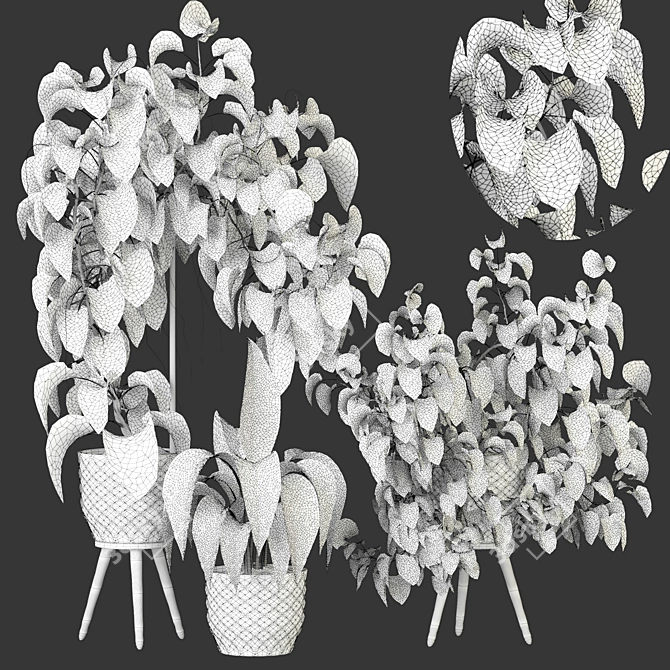 Modern Indoor Plant Collection 94 3D model image 3