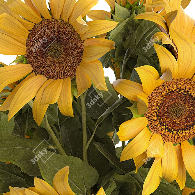 Sunflower Bouquet in Glass Vase 3D model image 5