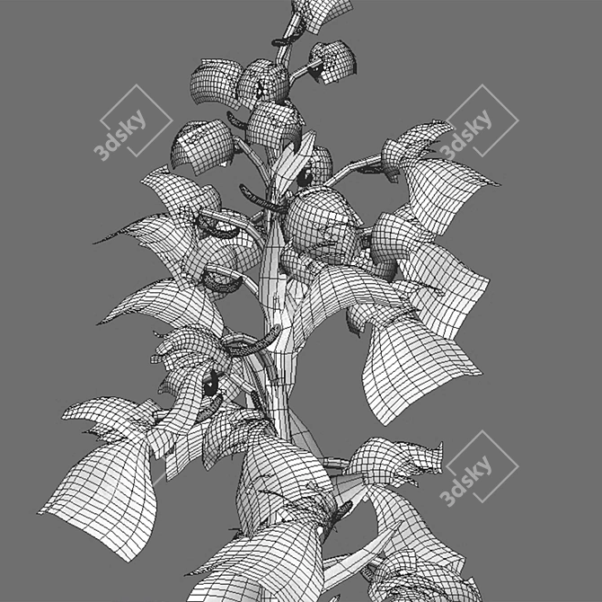 Orchid 3D Model Collection - Archival Formats 3D model image 2