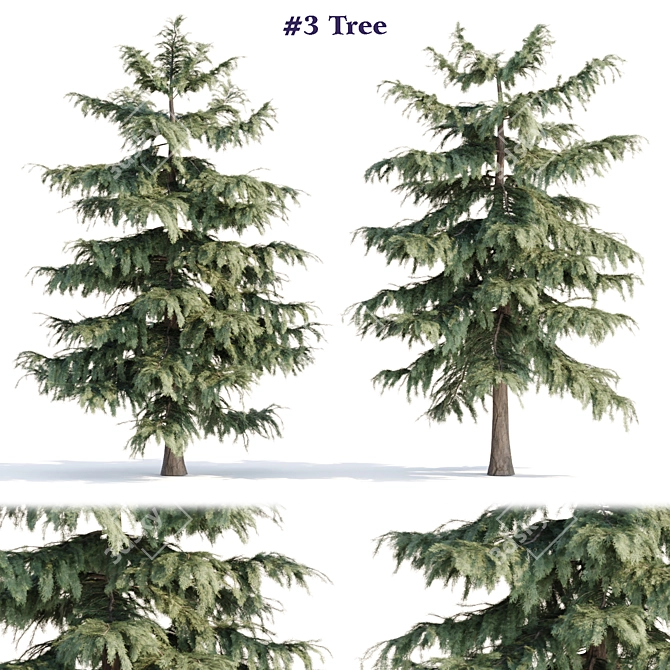 PBR Pine Trees Collection Vol.107 3D model image 1