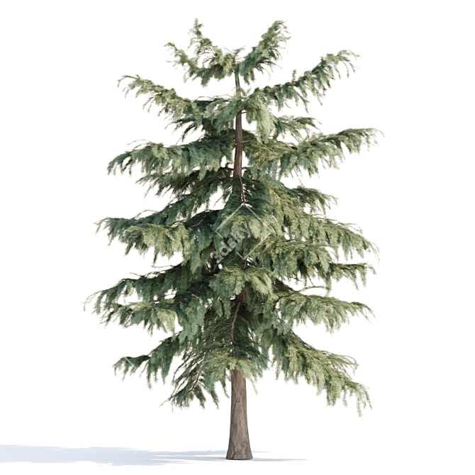 PBR Pine Trees Collection Vol.107 3D model image 4